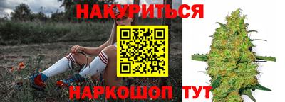 прущие крисы Будённовск