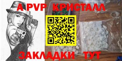 прущие крисы Будённовск
