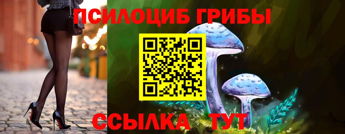 Галлюциногенные грибы ЛСД Славянск-на-Кубани